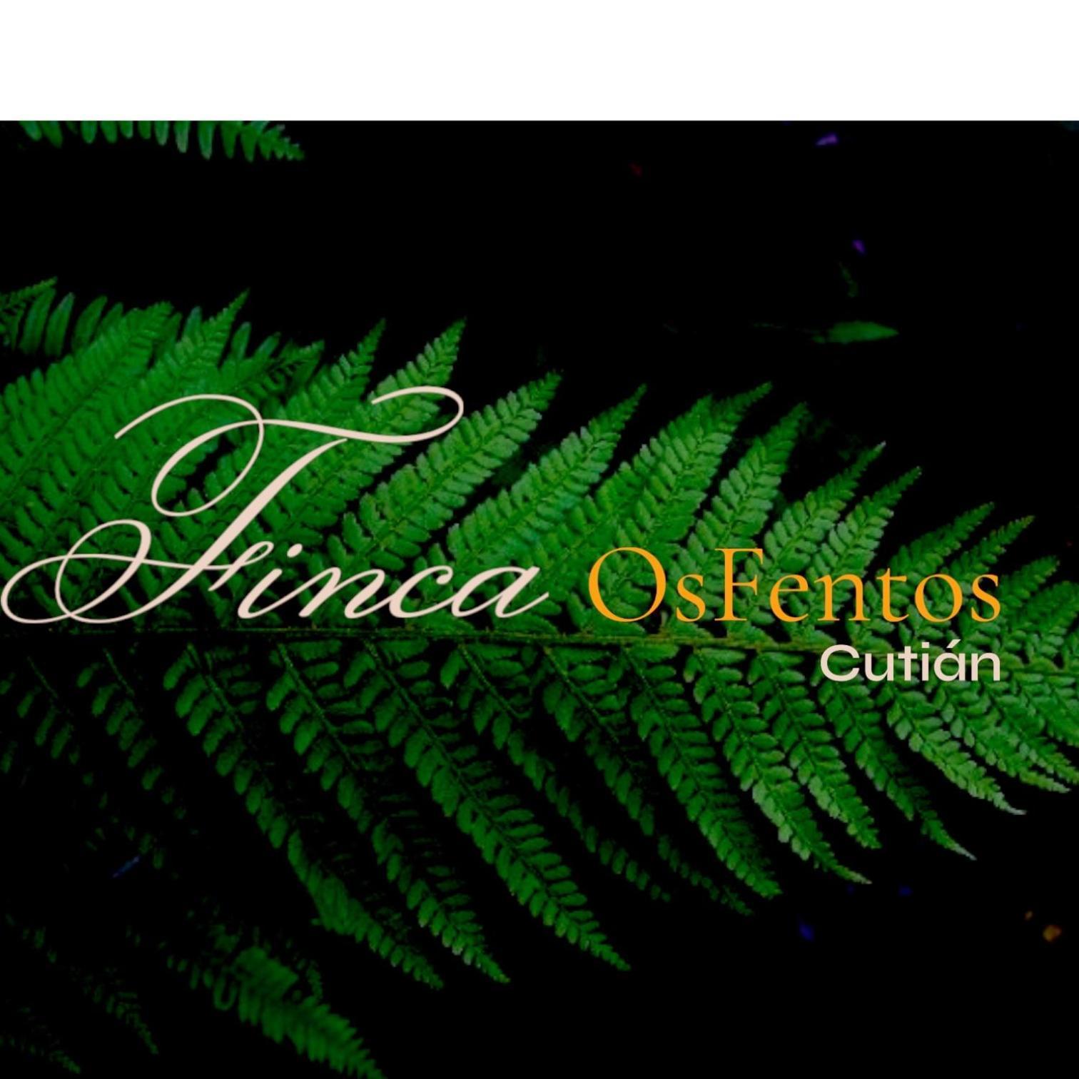 Bed and Breakfast Os Fentos Pontevedra Exterior foto